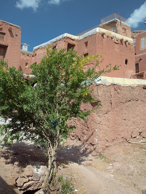 img00015.jpg