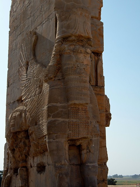 img00011.jpg