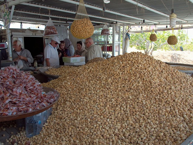 img00005.jpg