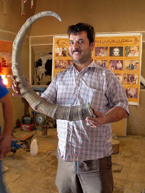 img00007.jpg
