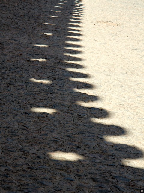 img00011.jpg