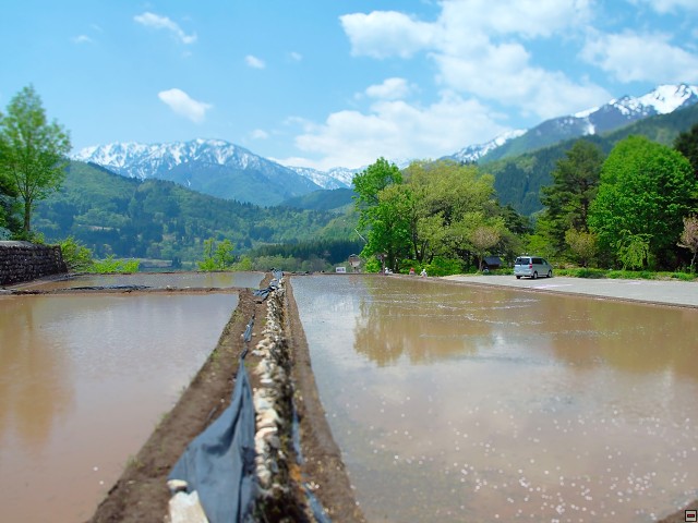 img00018.jpg