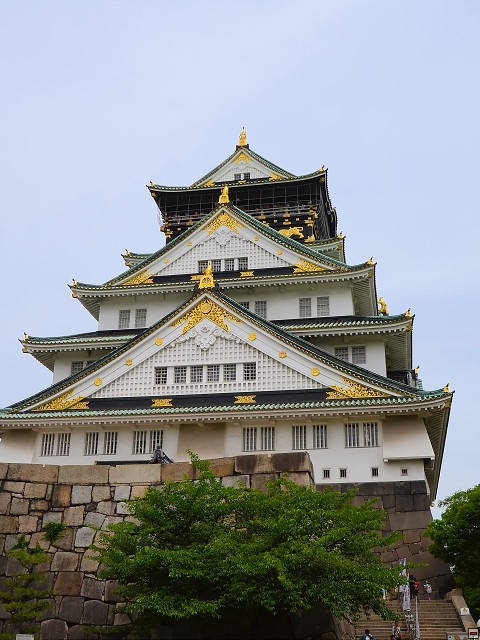 img00007.jpg