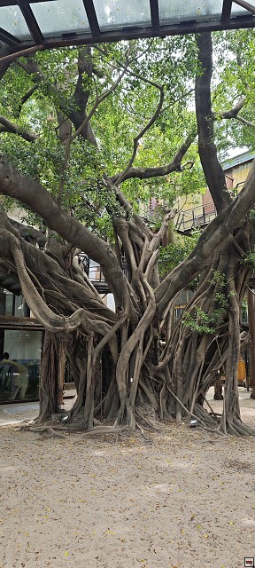 img00010.jpg