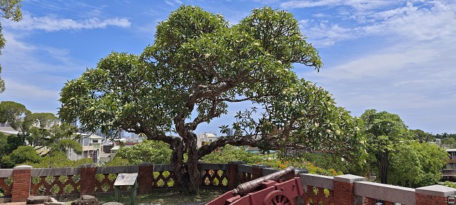 img00015.jpg
