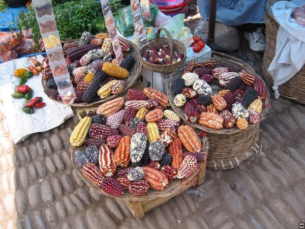 img00029.jpg