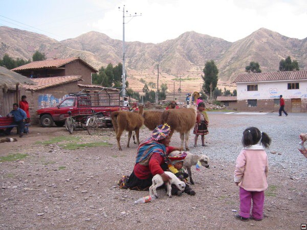 img00041.jpg