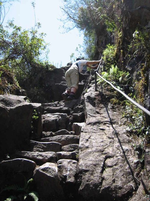 img00050.jpg