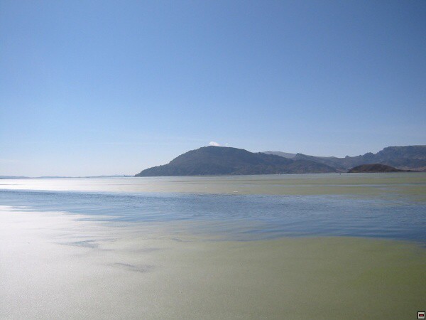 img00067.jpg