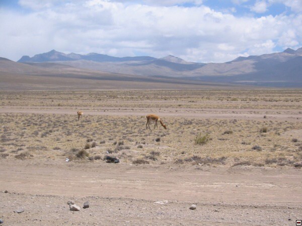 img00095.jpg