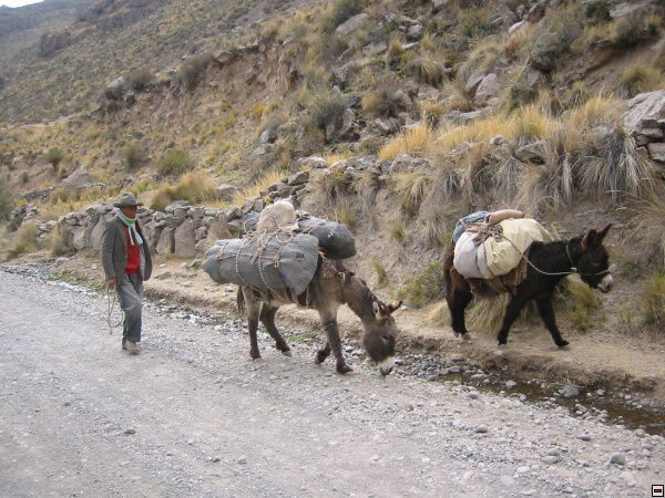 img00102.jpg