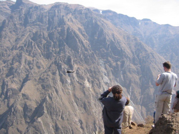 img00106.jpg
