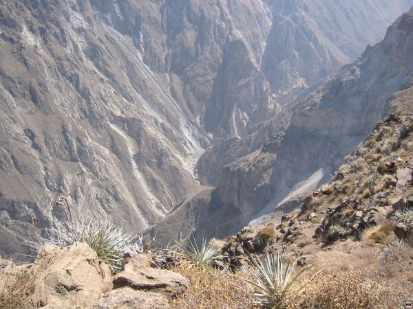 img00108.jpg