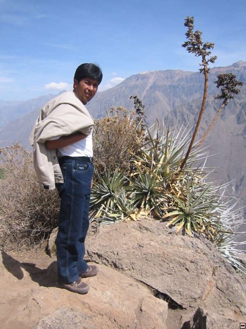 img00109.jpg