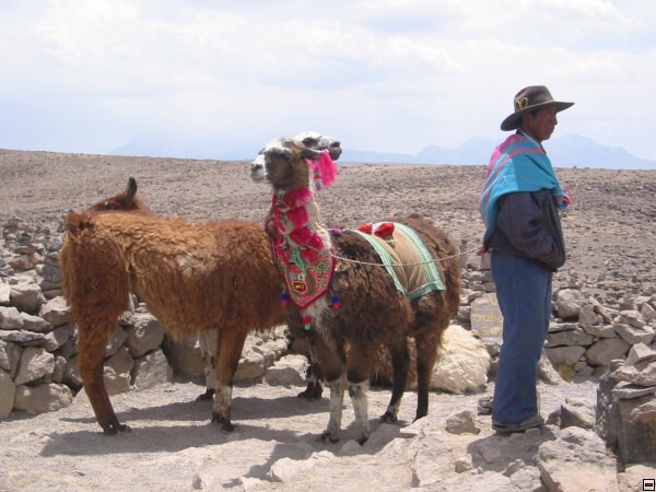 img00114.jpg