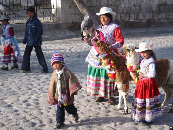 img00116.jpg