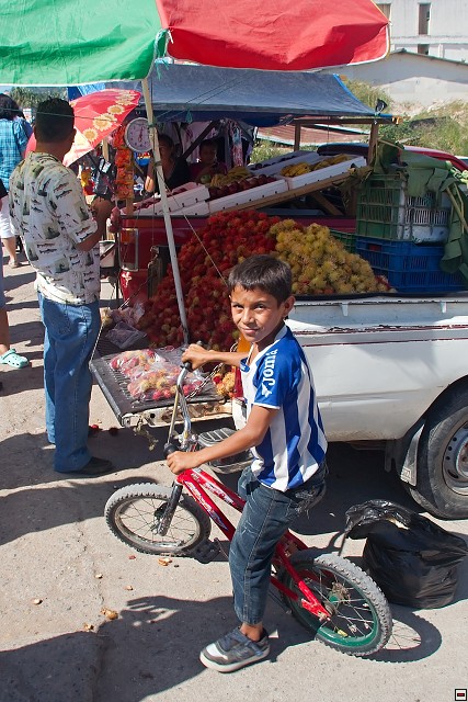 img00023.jpg
