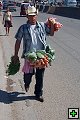 thn00014.jpg