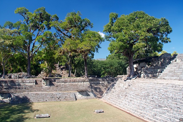 img00010.jpg