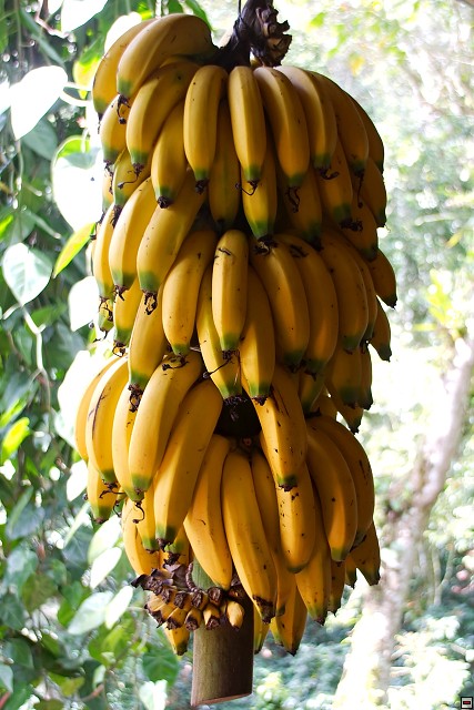 img00012.jpg