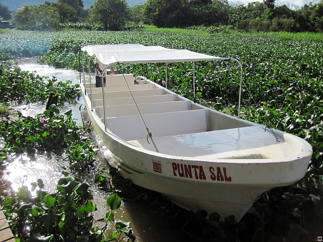 img00008.jpg