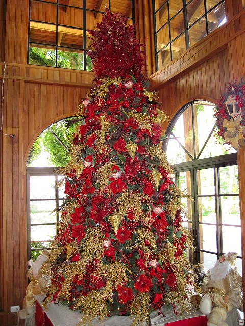 img00001.jpg