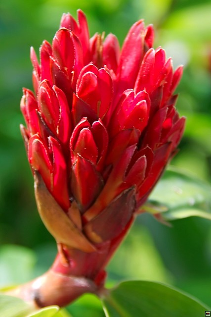img00004.jpg