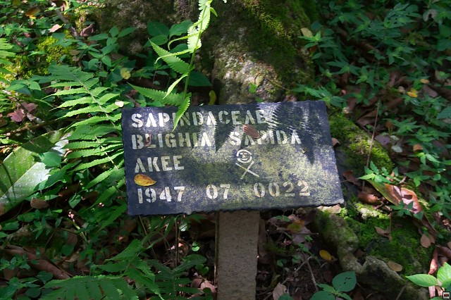 img00006.jpg