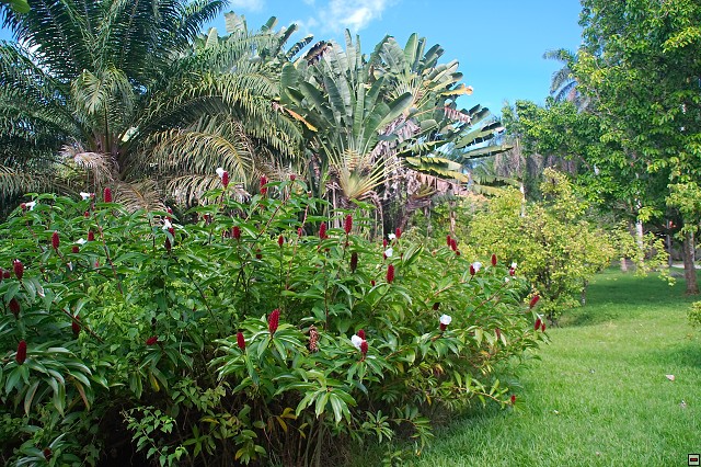 img00010.jpg