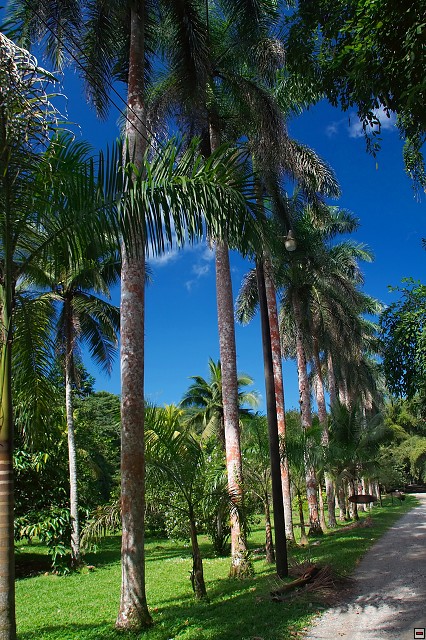img00011.jpg
