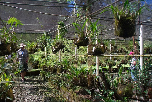 img00012.jpg