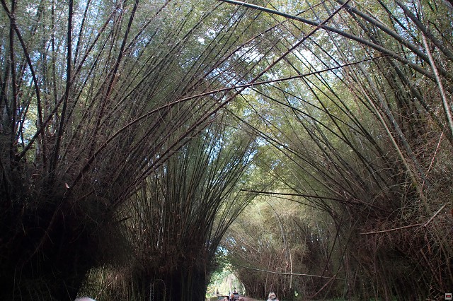img00013.jpg