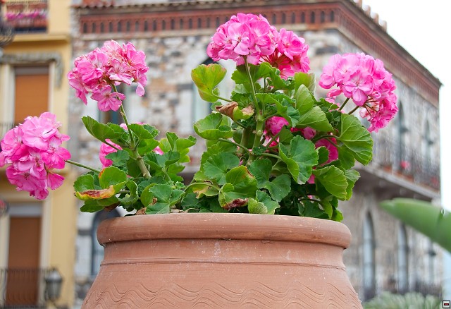 img00029.jpg