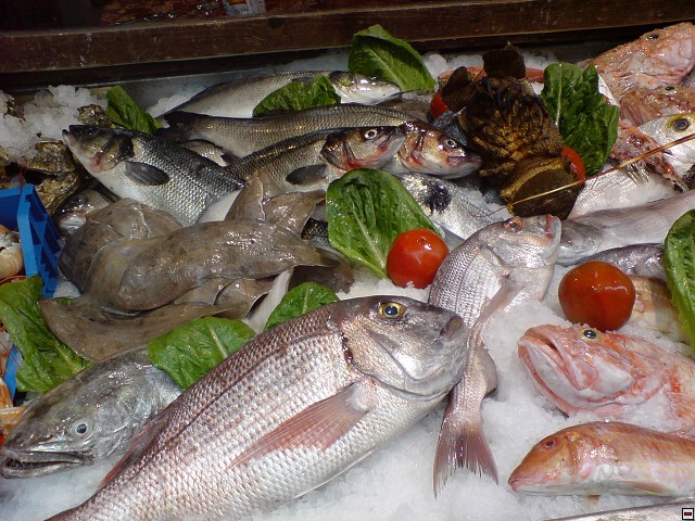 img00001.jpg