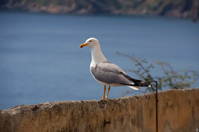 img00013.jpg