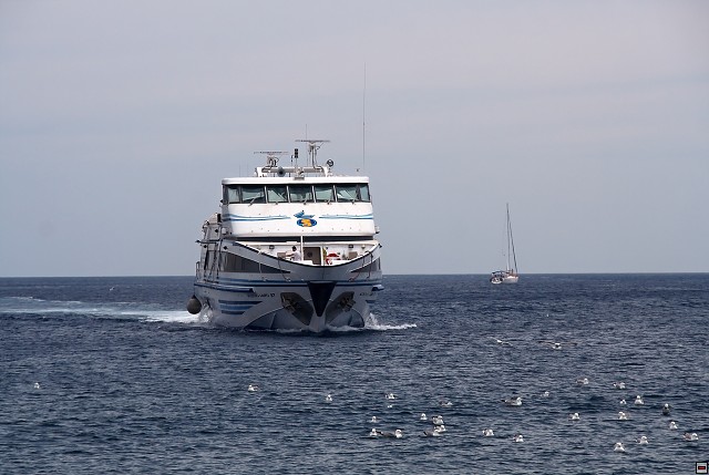 img00026.jpg