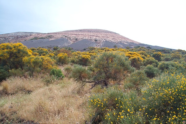 img00034.jpg
