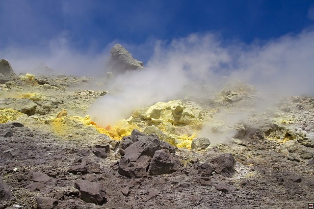 img00049.jpg