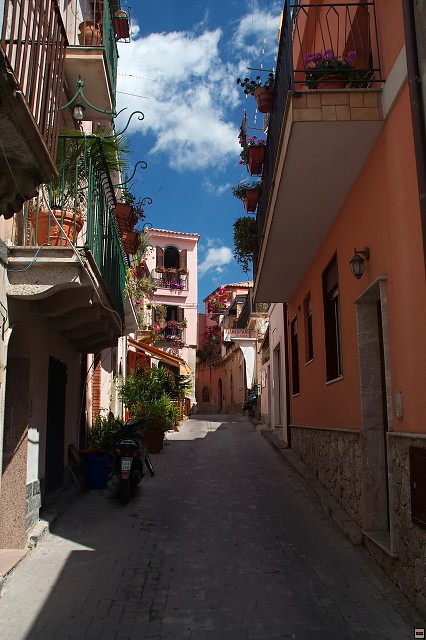 img00004.jpg