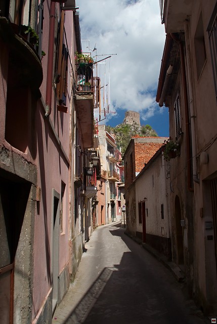 img00005.jpg