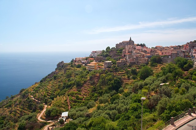 img00006.jpg