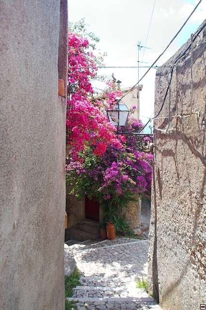 img00013.jpg