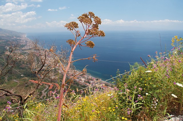 img00026.jpg