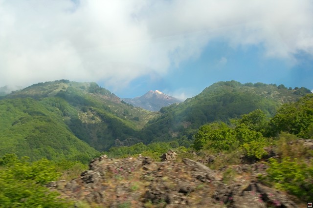 img00004.jpg