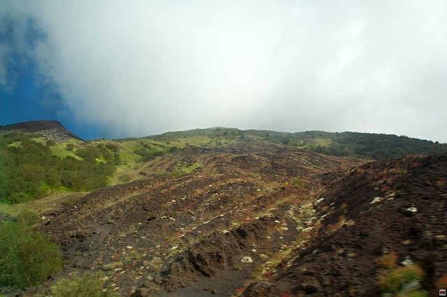 img00005.jpg