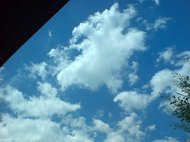 img00008.jpg