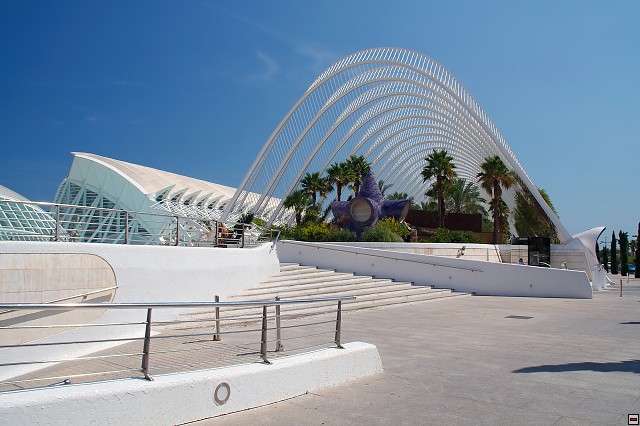 img00024.jpg