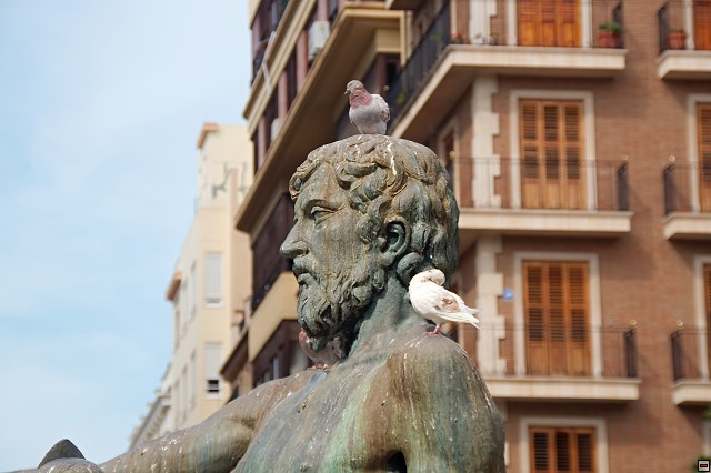 img00038.jpg