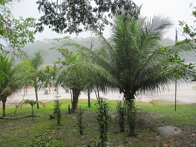 img00007.jpg