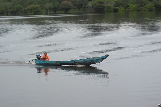 img00010.jpg
